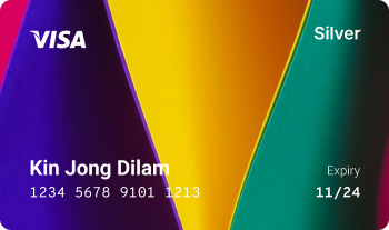 Visa Silver Card with chip technology